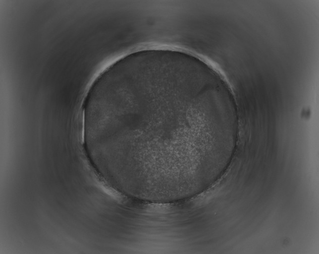 X0000089911223200707131342
