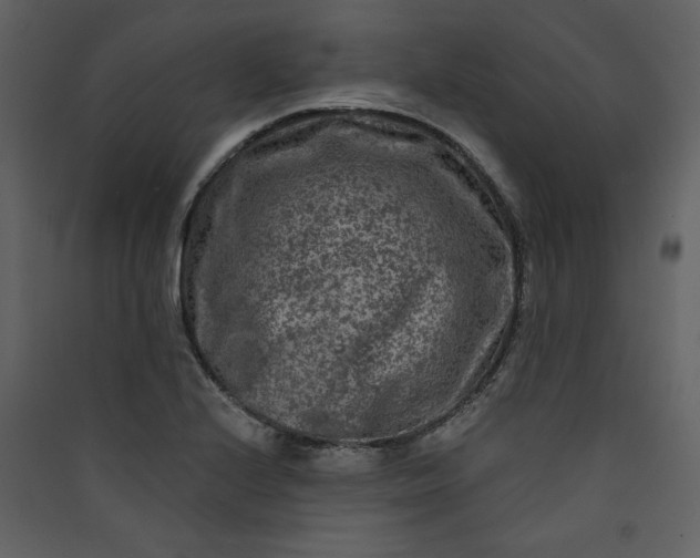 X0000089911224200707131342