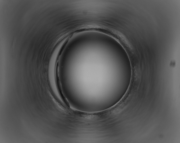X0000089911225200707131342