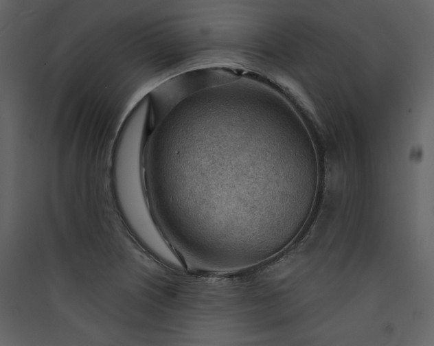 X0000089911226200707131342