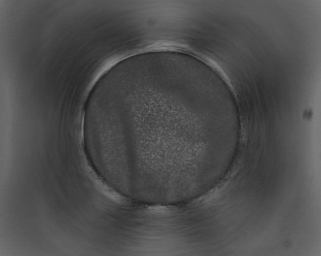 X0000089911227200707131343