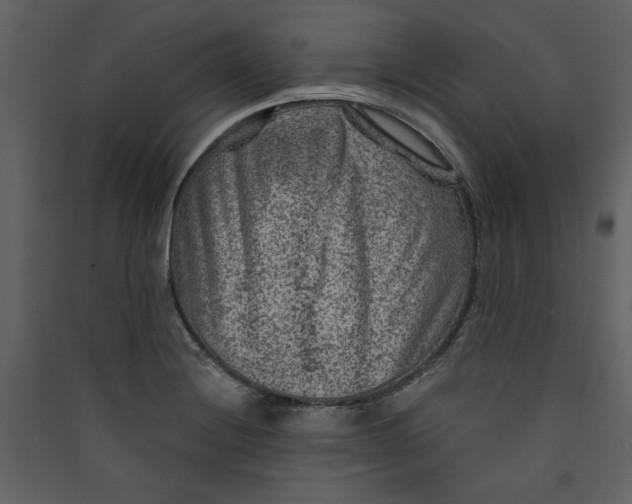 X0000089911228200707131343