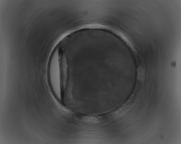 X0000089911229200707131343