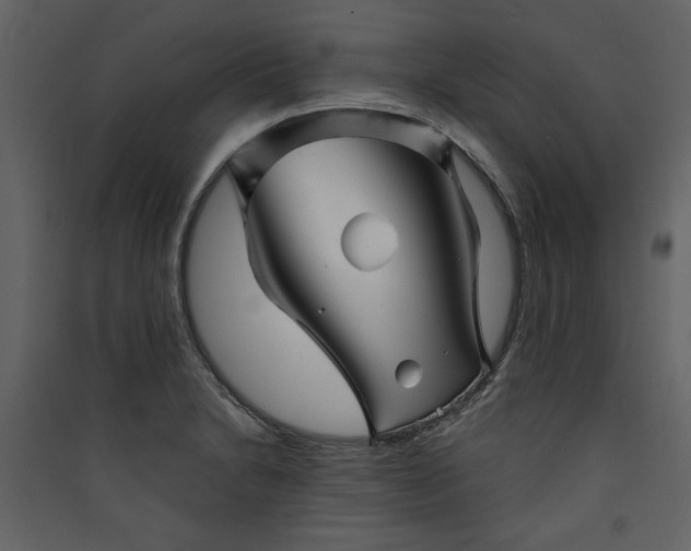 X0000089911230200707131343