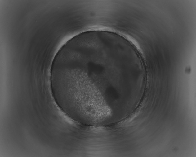 X0000089911231200707131343