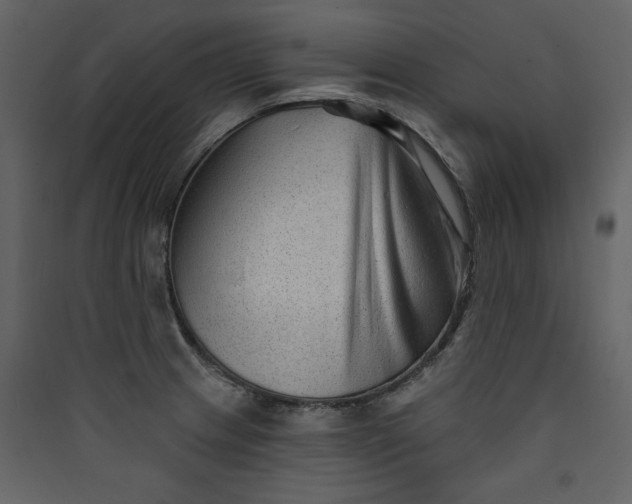 X0000089911233200707131343