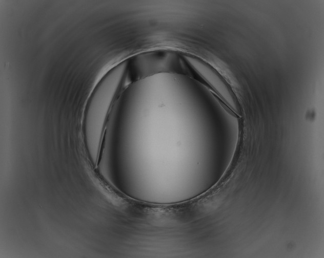 X0000089911234200707131343