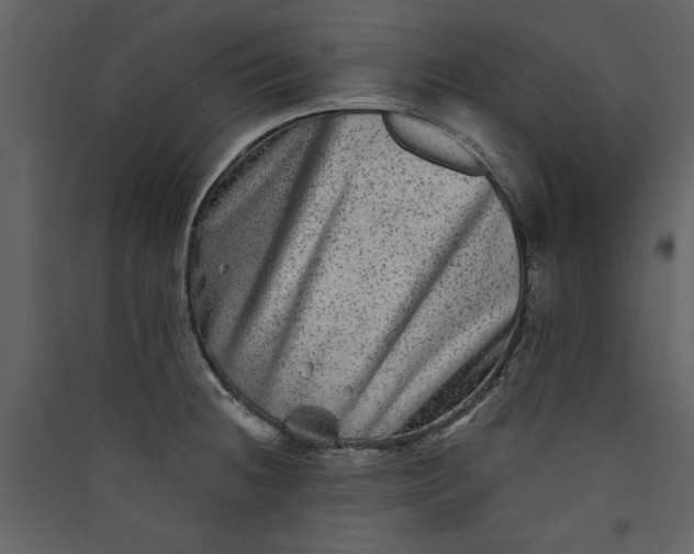 X0000089911236200707131343