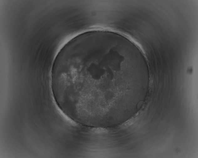 X0000089911239200707131343