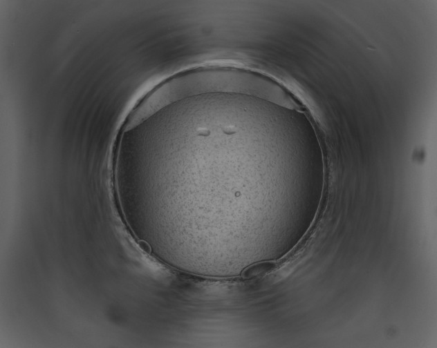 X0000089911240200707131343