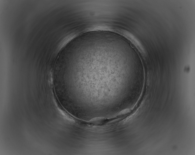 X0000089911241200707131343