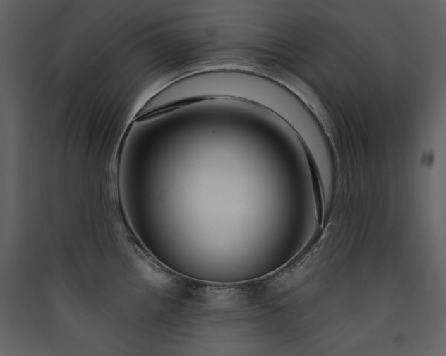 X0000089911242200707131343