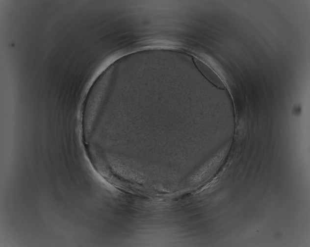 X0000089911243200707131343