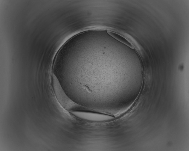 X0000089911244200707131343