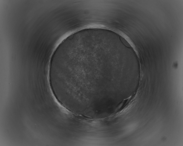X0000089911245200707131343