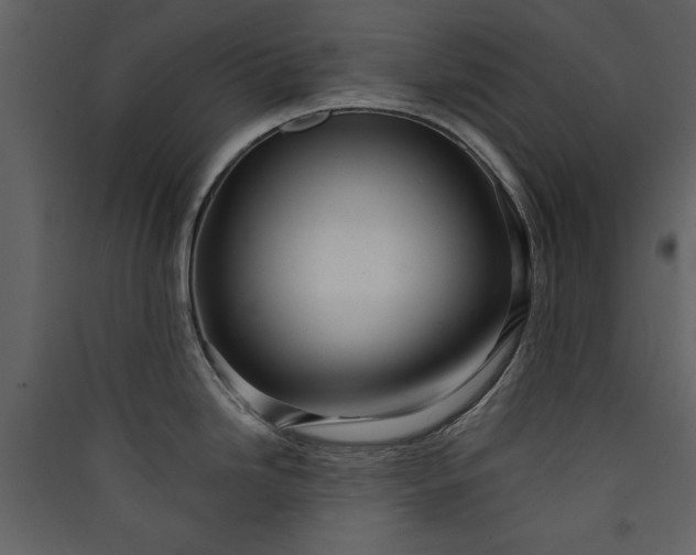 X0000089911246200707131343