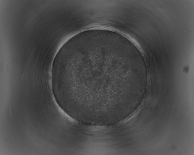 X0000089911247200707131343