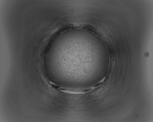 X0000089911249200707131342