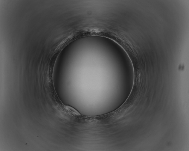 X0000089911250200707131342