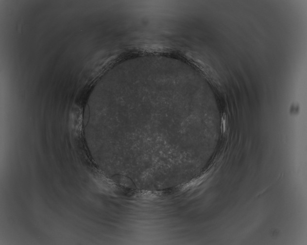 X0000089911251200707131342