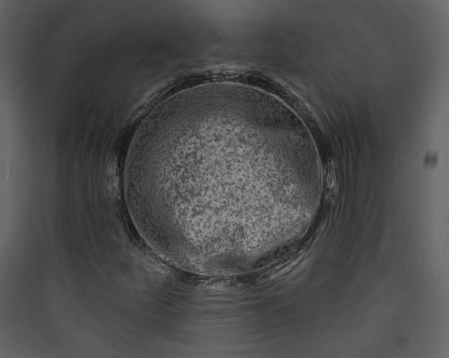 X0000089911252200707131342