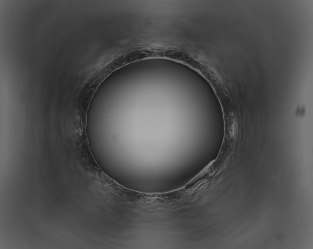 X0000089911253200707131342
