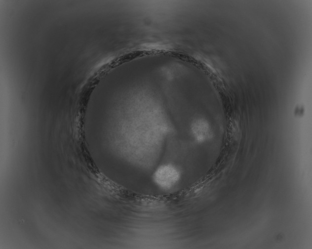 X0000089911254200707131342