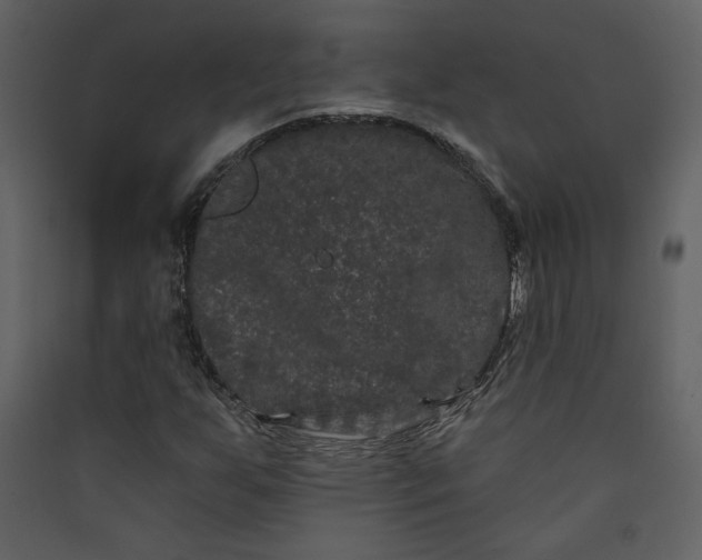 X0000089911255200707131342