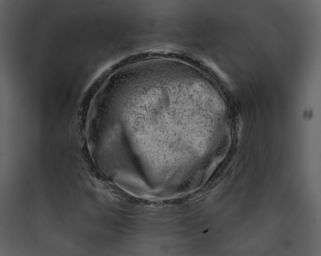 X0000089911256200707131342
