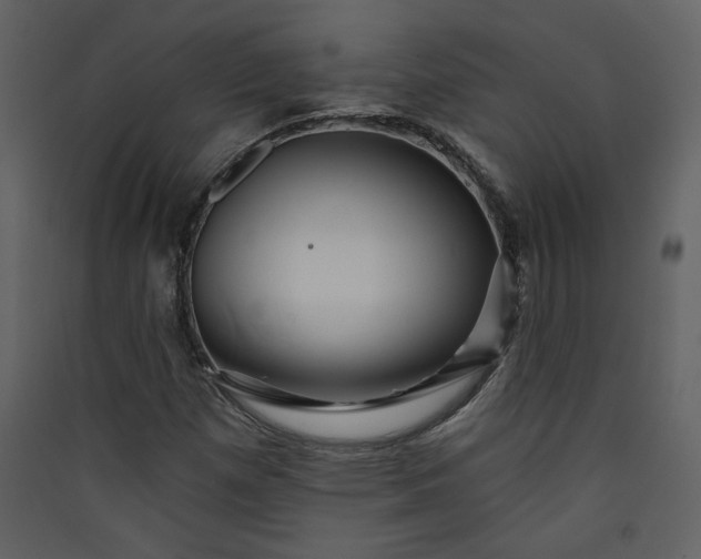 X0000089911257200707131342