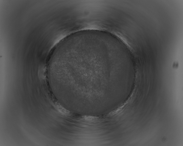 X0000089911258200707131342