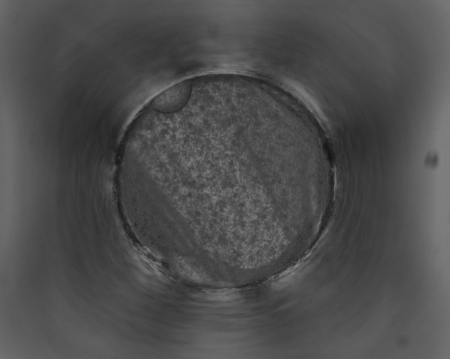 X0000089911260200707131342