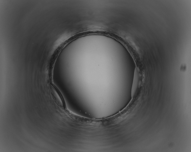 X0000089911261200707131342