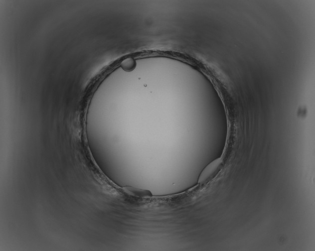 X0000089911262200707131342