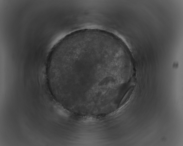 X0000089911263200707131342