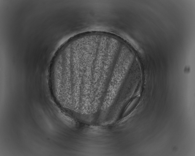 X0000089911264200707131342