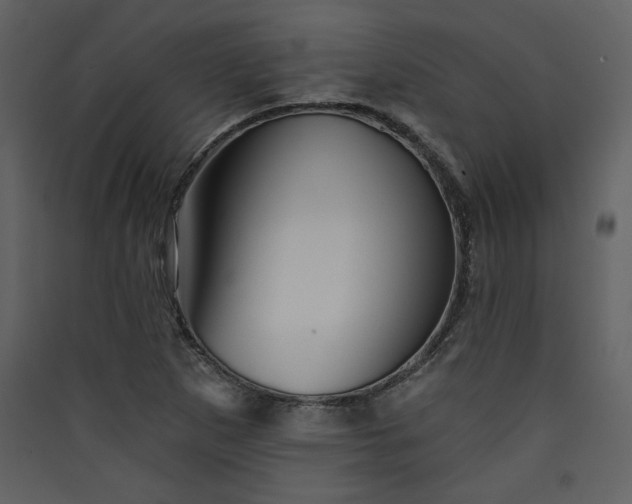 X0000089911265200707131342