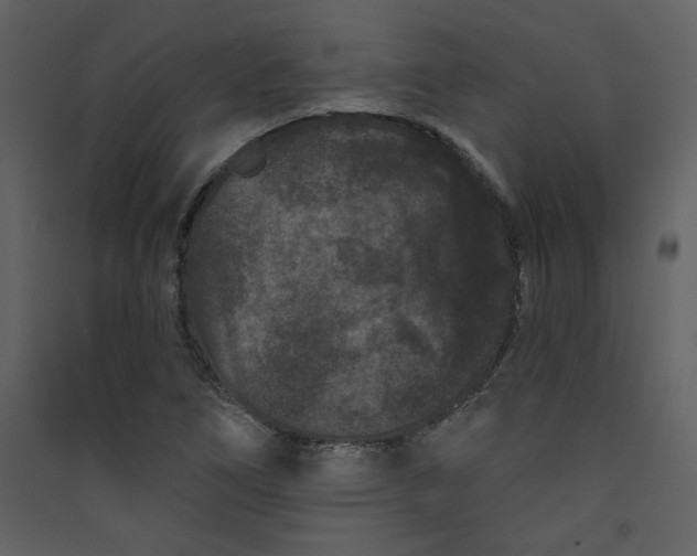 X0000089911266200707131342