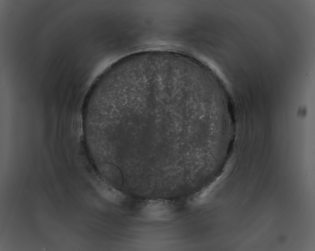 X0000089911267200707131342