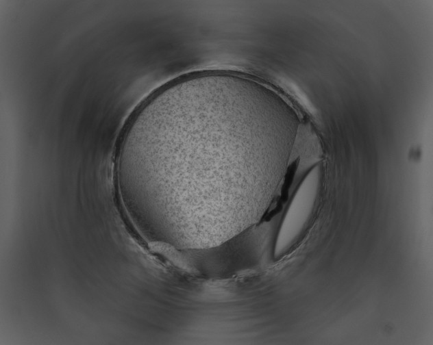 X0000089911268200707131342