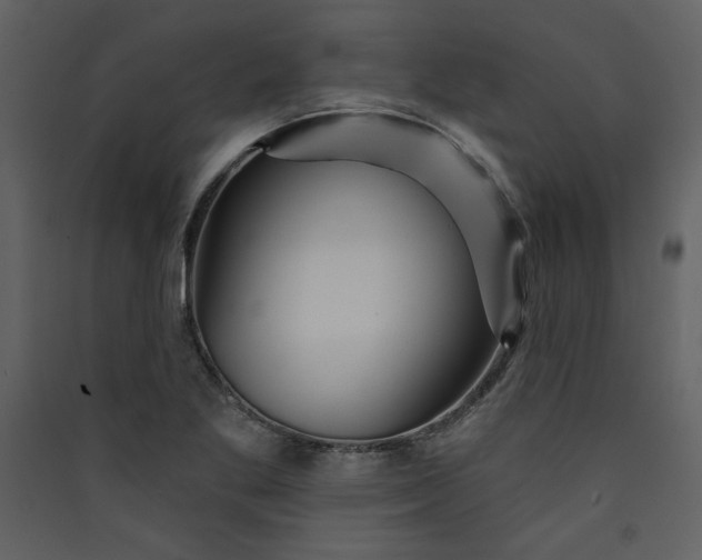 X0000089911269200707131342
