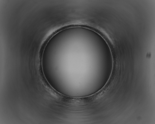 X0000089911270200707131342