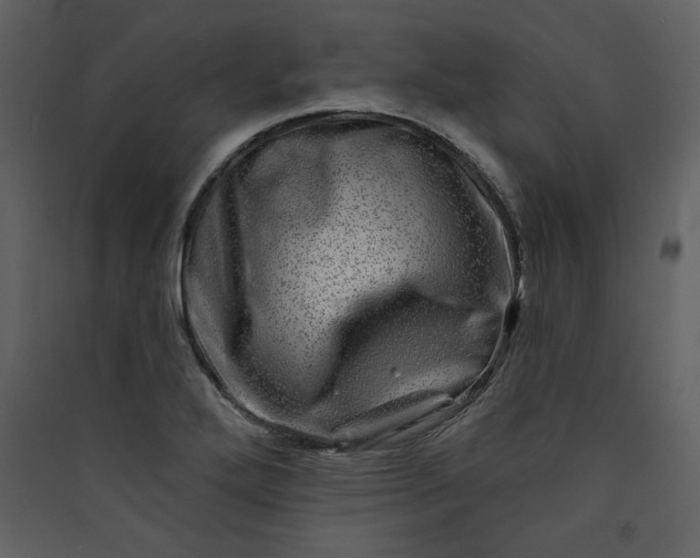 X0000089911272200707131342