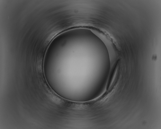 X0000089911273200707131342