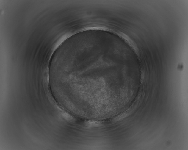 X0000089911274200707131342