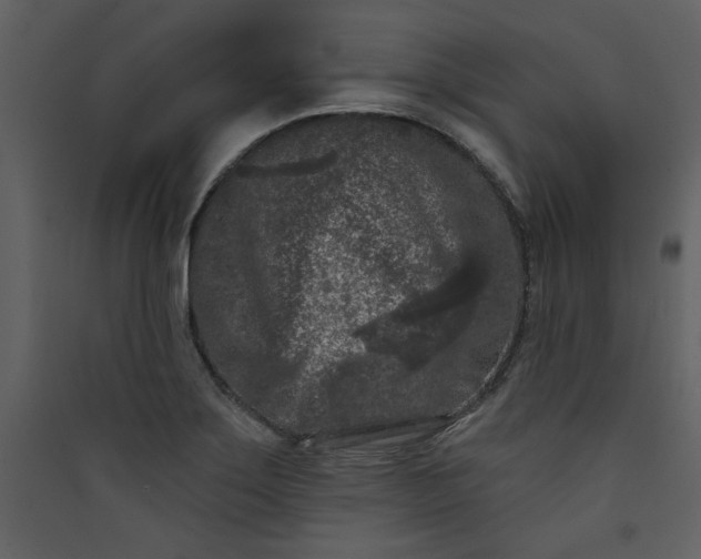 X0000089911275200707131342