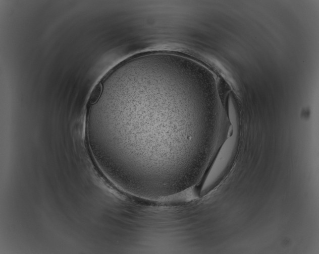 X0000089911276200707131342