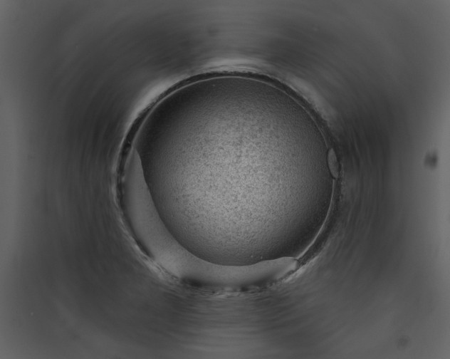 X0000089911277200707131342