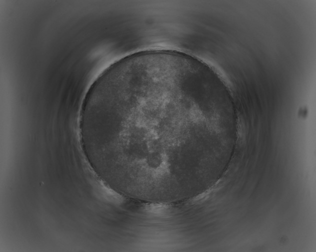 X0000089911278200707131342