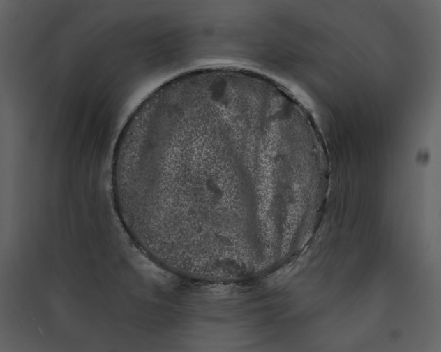 X0000089911279200707131342